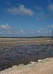 Salt Ponds